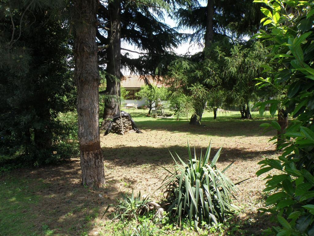 B&B Villa Mirella Casnate Con Bernate Exterior photo