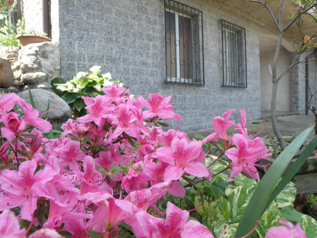 B&B Villa Mirella Casnate Con Bernate Exterior photo